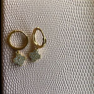 Beautiful earrings!! Sterling Silver and plated